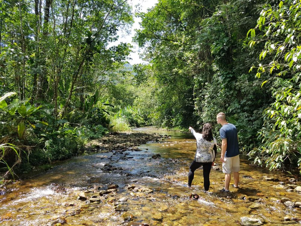 Fortalecimento do turismo em áreas naturais é tema de evento on-line e gratuito