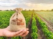 Congresso Nacional de Crédito no Agronegócio vai discutir o rumo do financiamento do setor