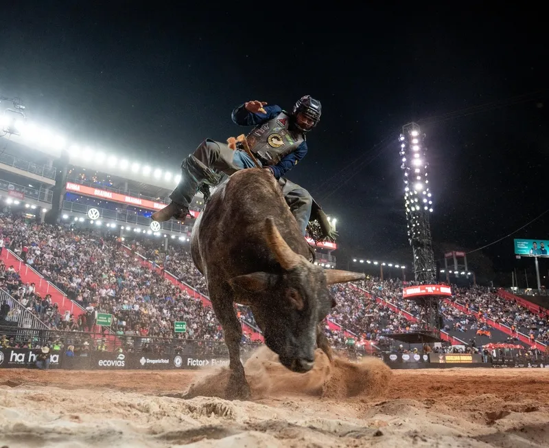 Jaguariúna Rodeo Festival traz montarias em touros e cavalos com premiação recorde de R$380 mil 